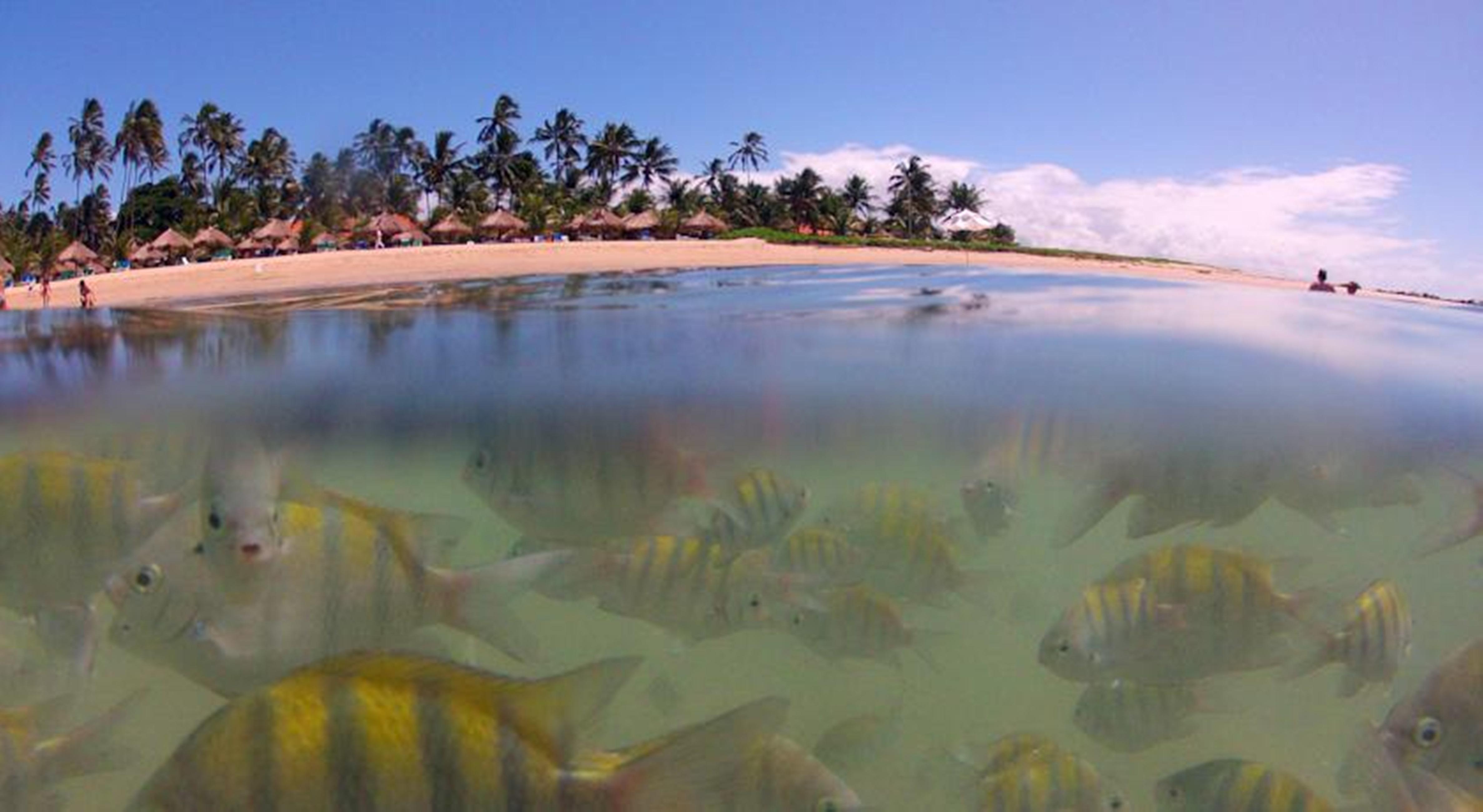Serrambi Resort Porto de Galinhas Kemudahan gambar